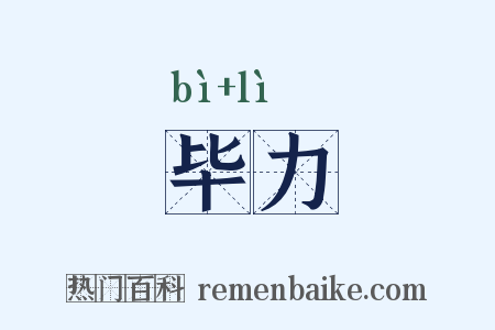 毕力是什么意思的图片